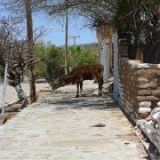 Baja2011 725 : Baja2011